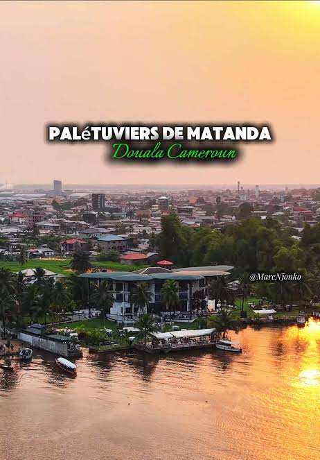 Les Palétuviers Matanda